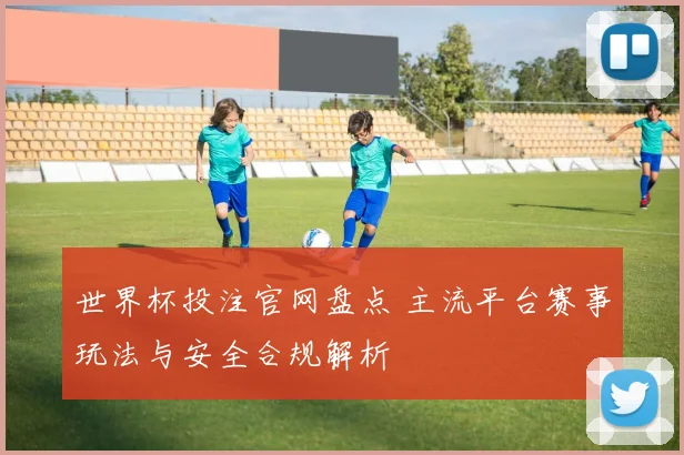 世界杯投注官网盘点 主流平台赛事玩法与安全合规解析