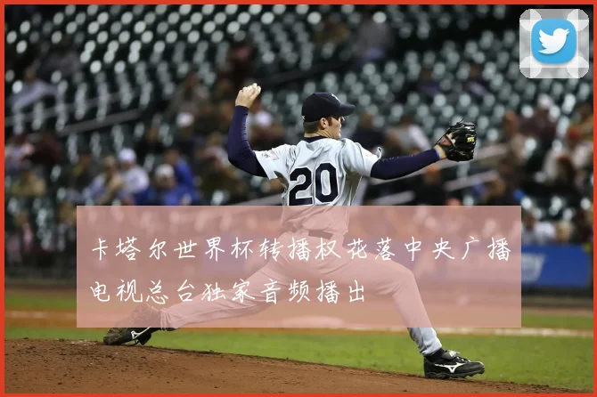 卡塔尔世界杯转播权花落中央广播电视总台独家音频播出