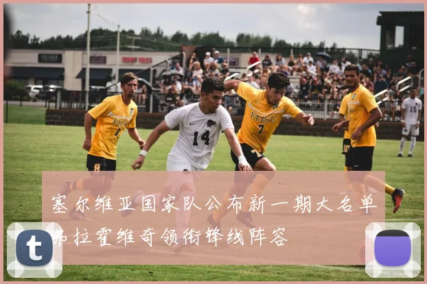 塞尔维亚国家队公布新一期大名单弗拉霍维奇领衔锋线阵容