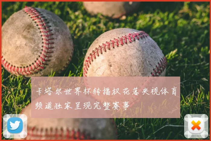 卡塔尔世界杯转播权花落央视体育频道独家呈现完整赛事