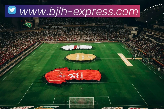 星空平台登录入口服务体系