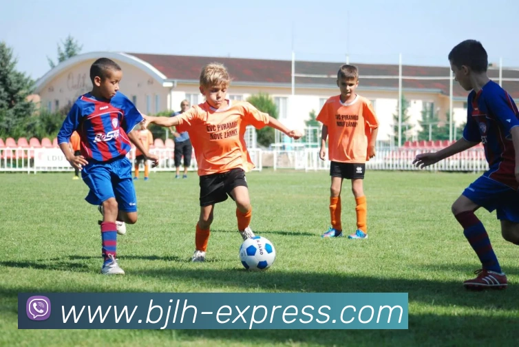 多媒体互动体验